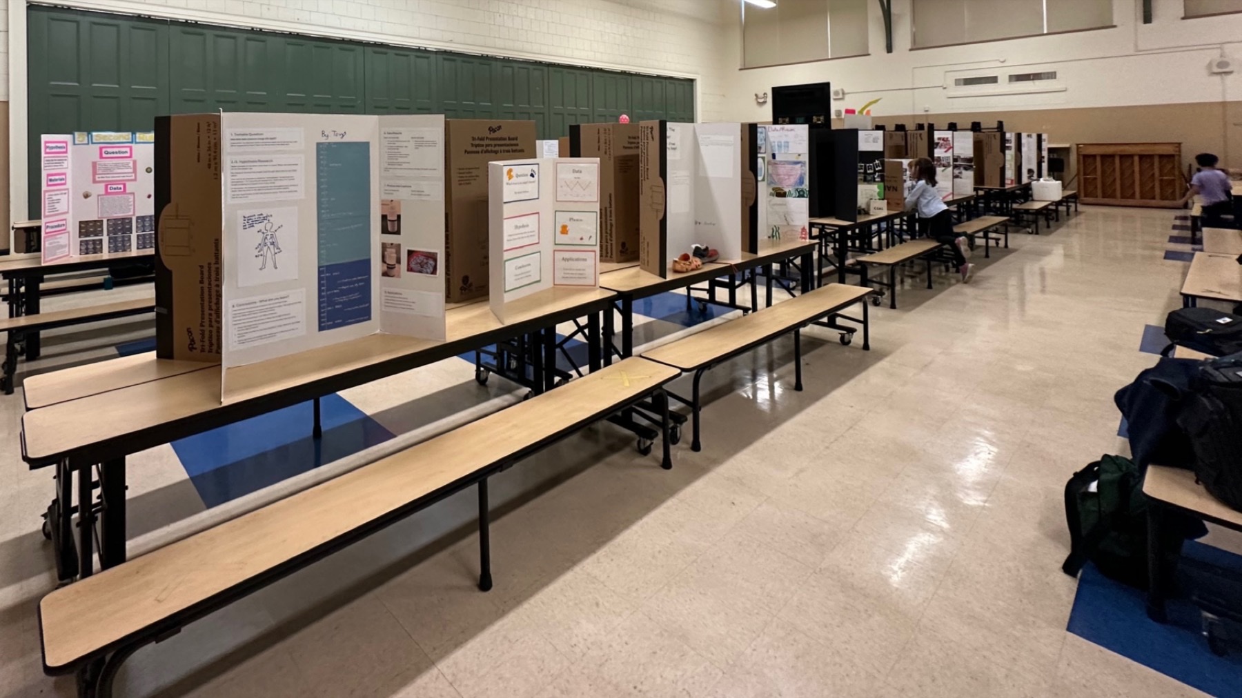 Student science projects displayed in the Montlake Elementary cafeteria
